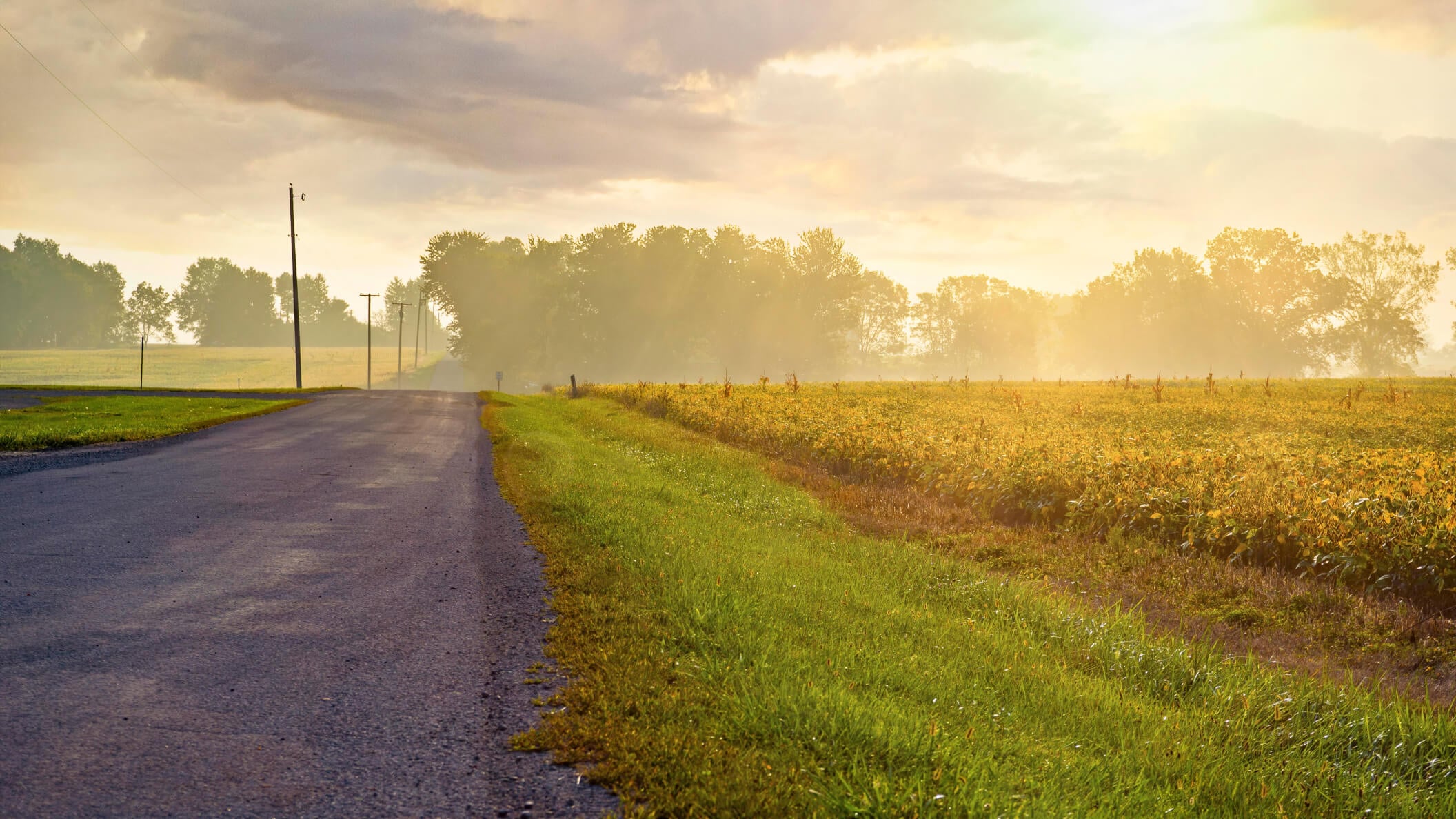 BetterHelp opportunity for Farm Bureau members Ohio Farm Bureau