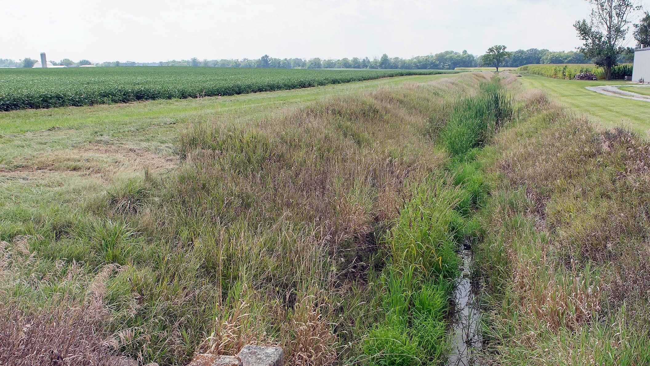 Our Ohio Weekly New report gauges water quality efforts in Ohio Ohio