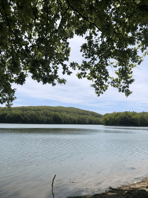 megnut (Megan Guthrie) Only Fans Leaked Pictures and Videos [FRESH