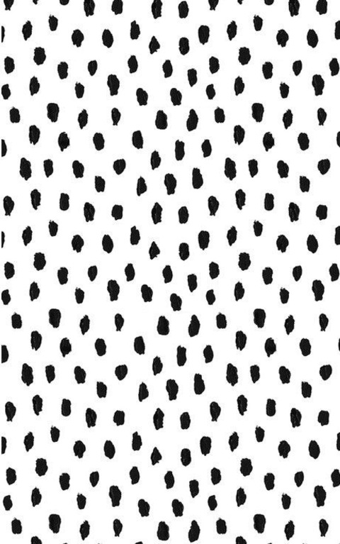 trishyland (Trisha Paytas) free Only Fans content [!NEW!] - ofdown.net