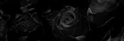 belindanohemy (belinda nohemy) Only Fans Leaked Pictures and Videos