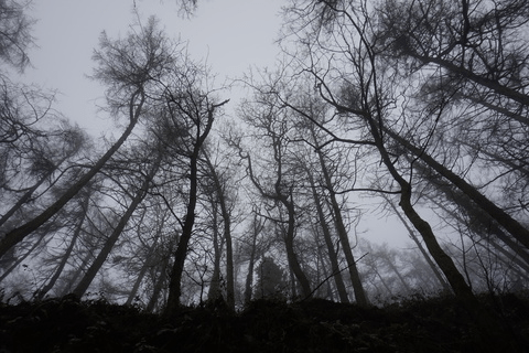 jackie_lovee (Jackie_lovee) free Only Fans Leaked Pictures & Videos