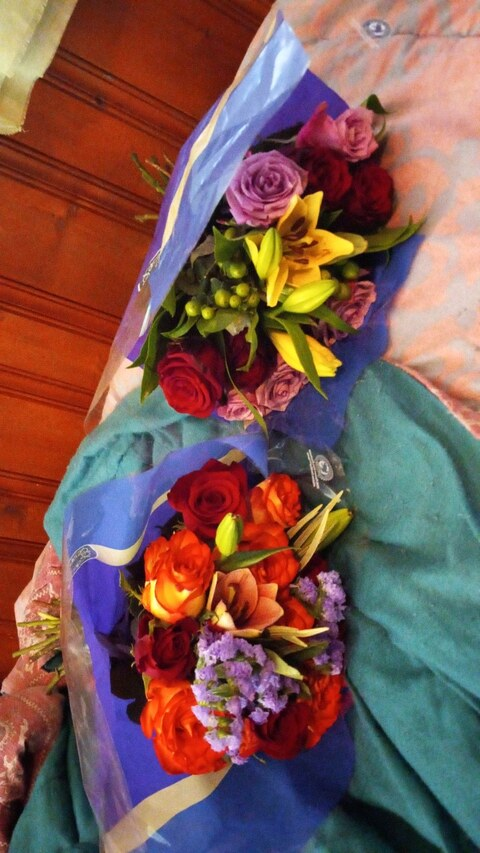 chyburd (enjoy) Only Fans Leaks [!NEW!] - ofdown.net