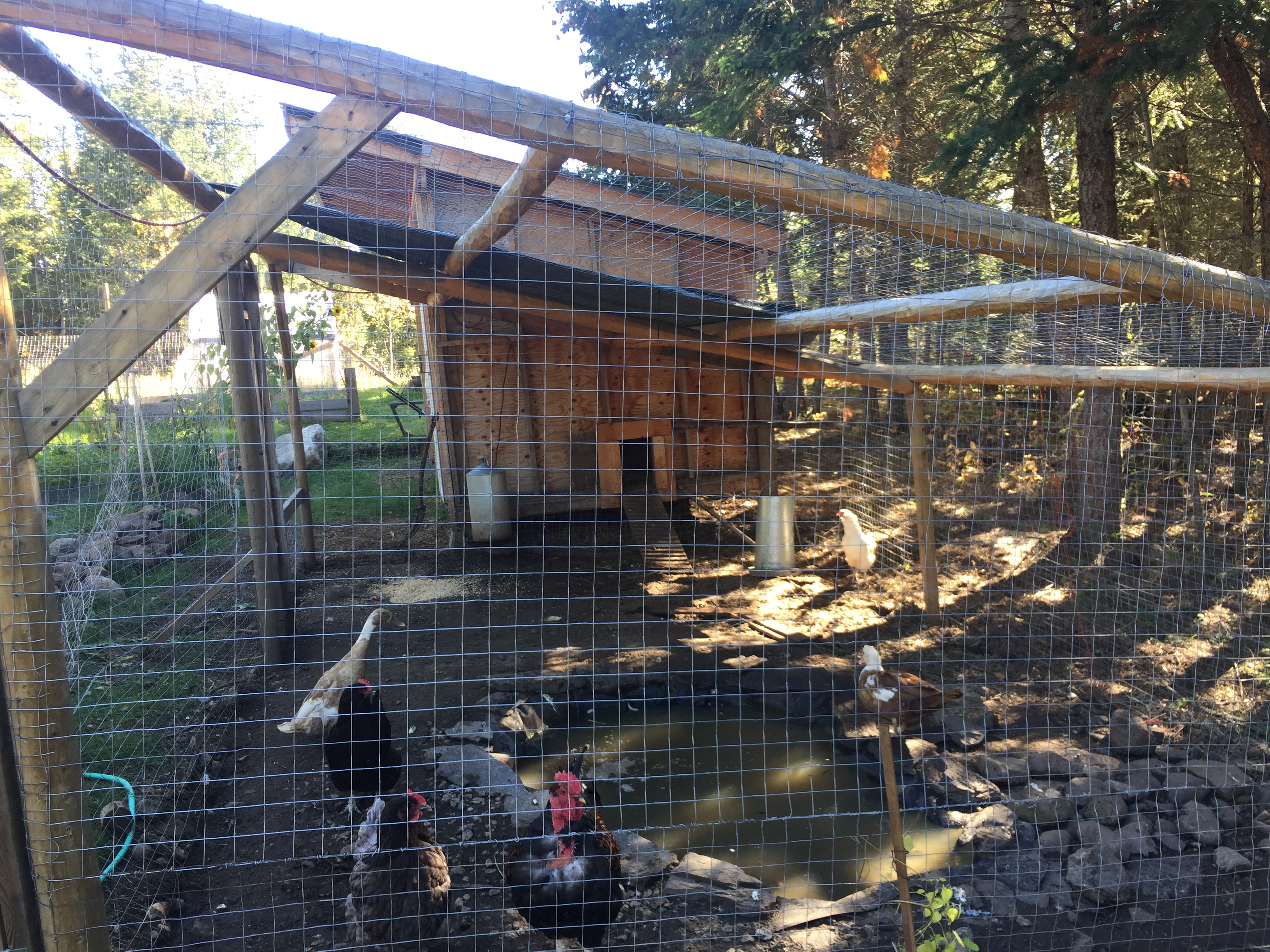 Chicken Coop Off Grid Cabin Living