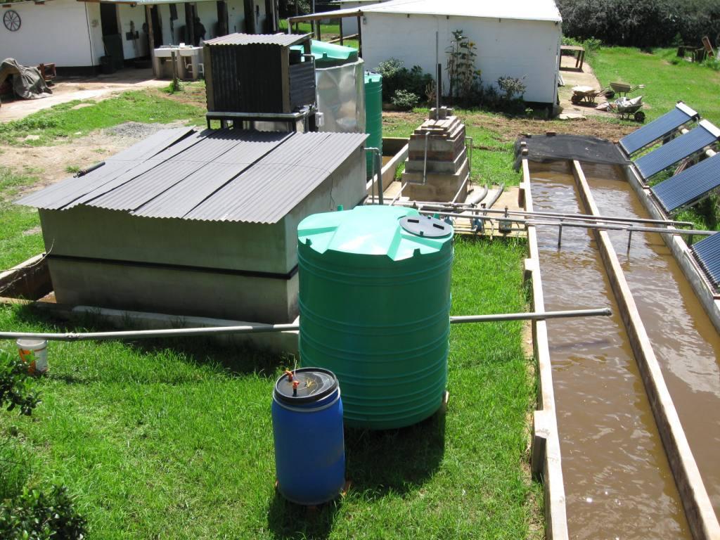 Algae Biodiesel Is It Practical For Off Grid Applications?