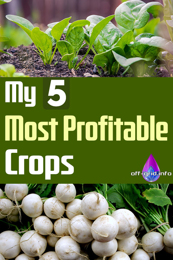 My 5 Most Profitable Crops OffGrid