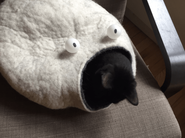 monster cat bed