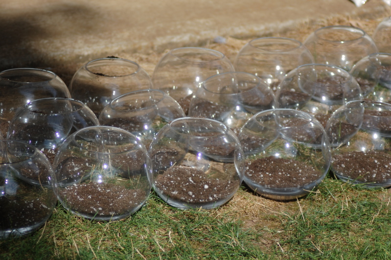 How to make your own succulent terrarium centerpieces • Offbeat Wed