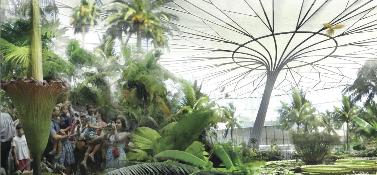 Houston Botanic Garden Enhancement or Loss of Park Space? Rice