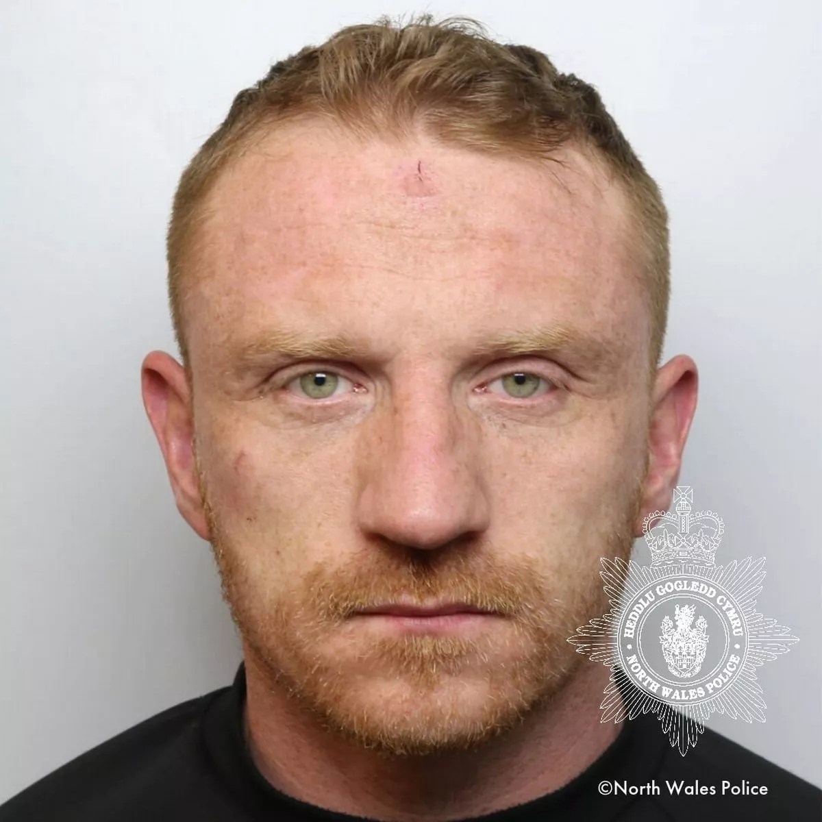 Terry Nicholas Sex Offenders Database UK