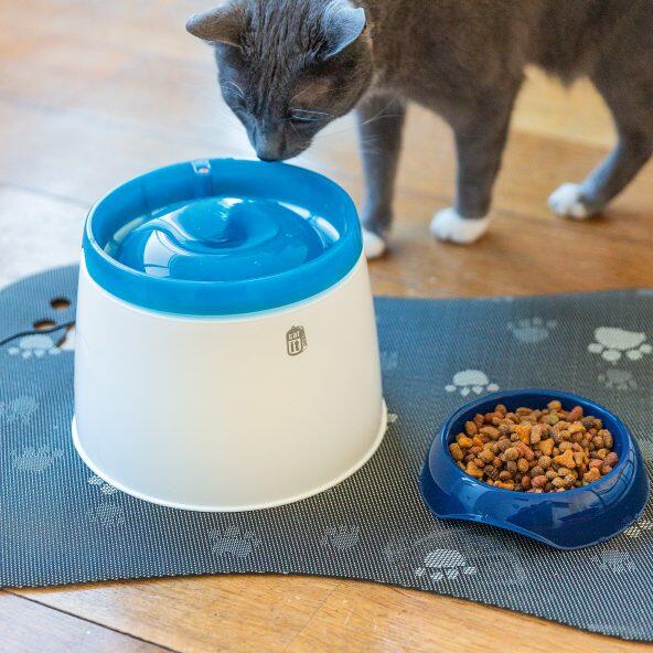 Fontaine pour animaux domestiques Aldi — Luxembourg Archive des