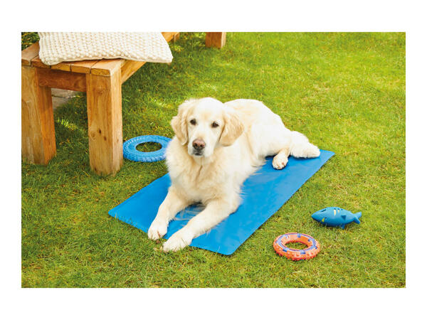 Zoofari Pet Cooling Mat or Car Seat Cover Lidl — Great Britain