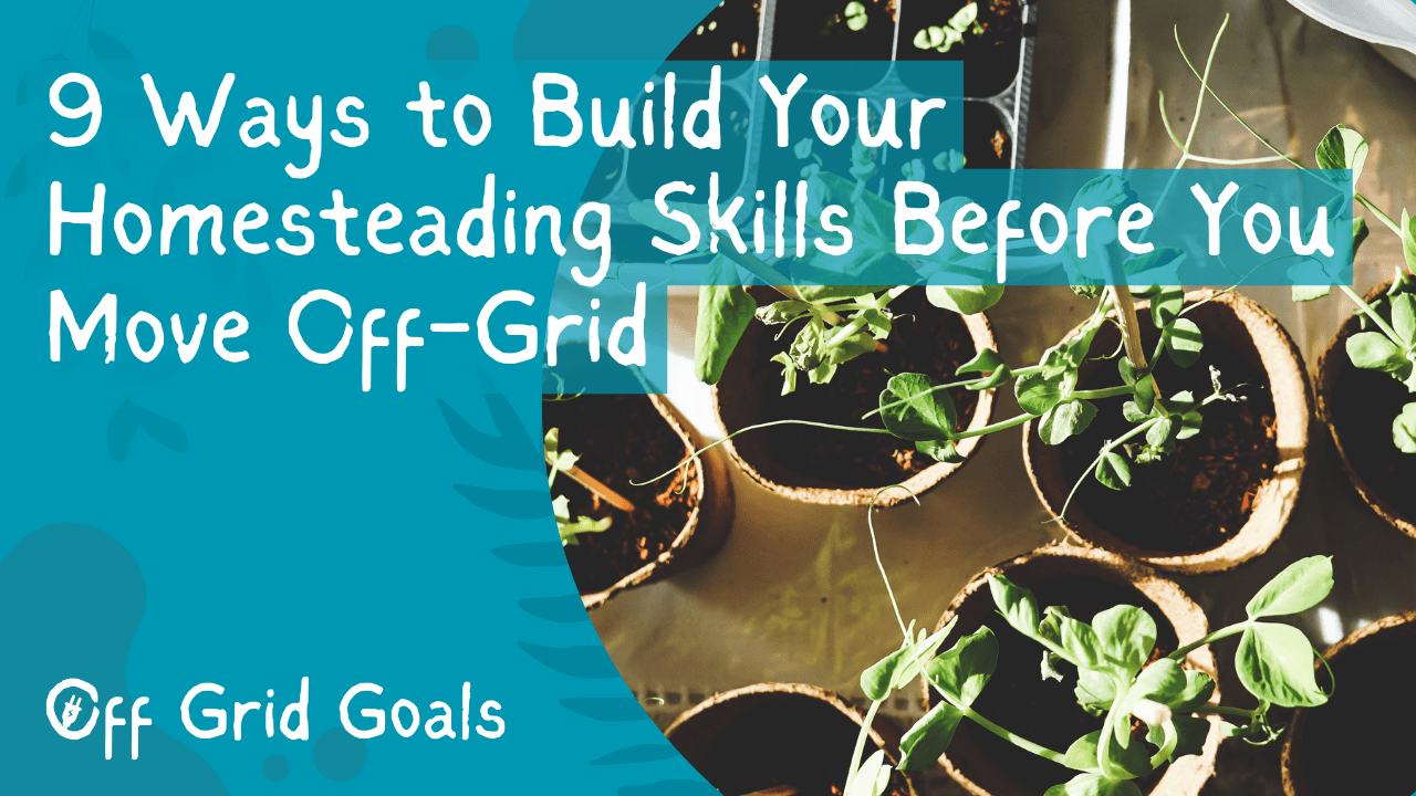 7 Best Dog Breeds for Homestead Life Off Grid Goals