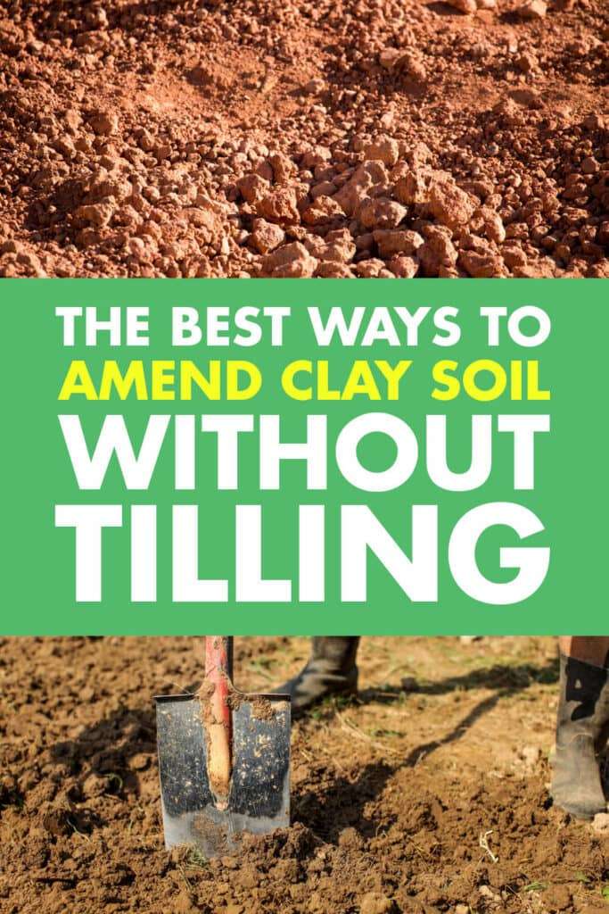 Amending clay soil without tilling using effective methods OffGridHarmony