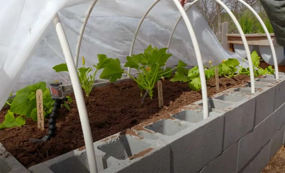12 Amazing Cinder Block Raised Garden Beds Off Grid World
