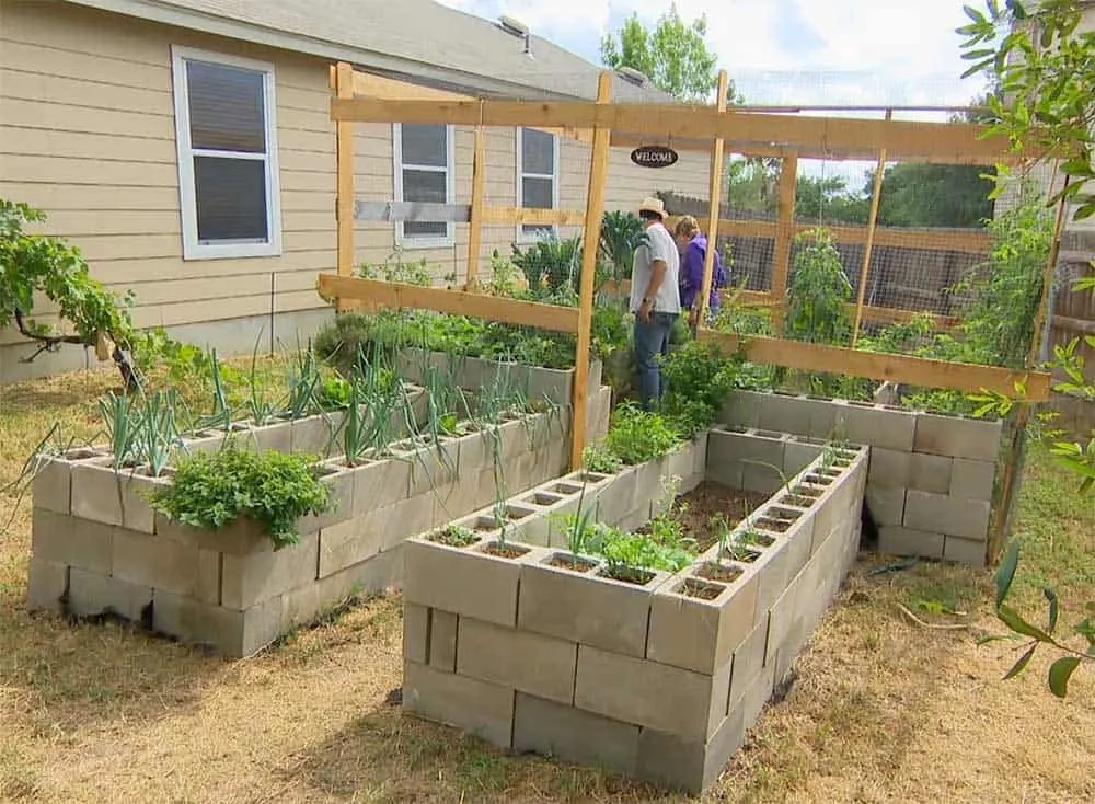 12 Amazing Cinder Block Raised Garden Beds - Off Grid World