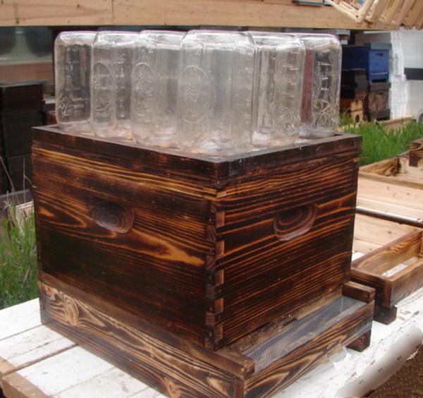 Awesome DIY Mason Jar Beehive Off Grid World