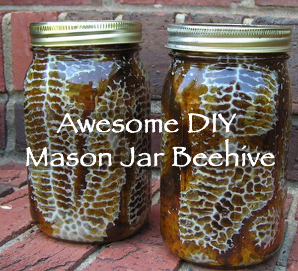 Awesome DIY Mason Jar Beehive Off Grid World