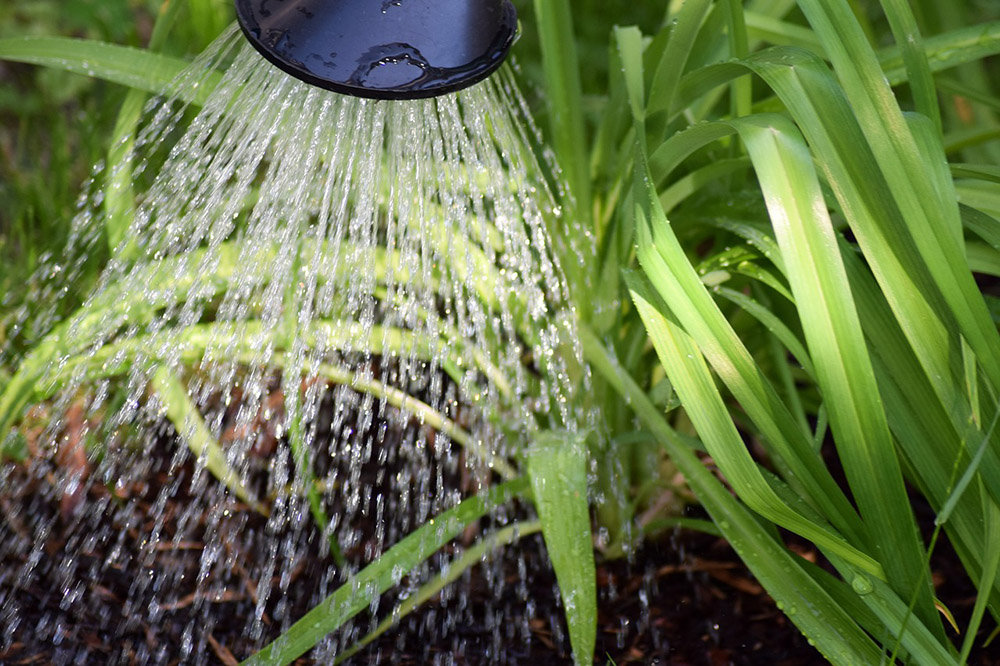 Using Greywater in Your Off Grid Household Off Grid World