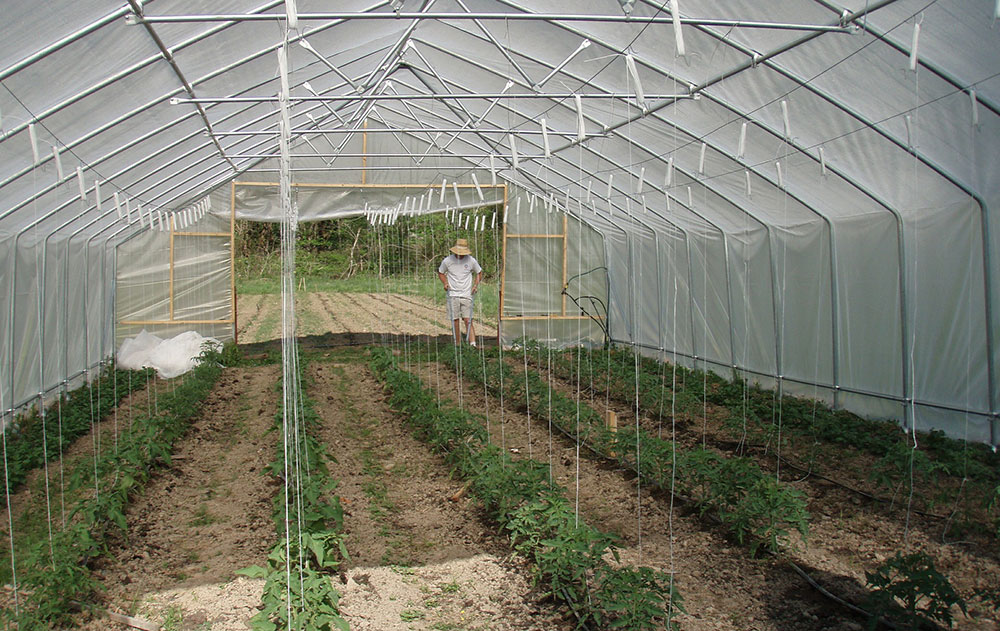 Light Deprivation Greenhouse Diy Light Deprivation For Greenhouse