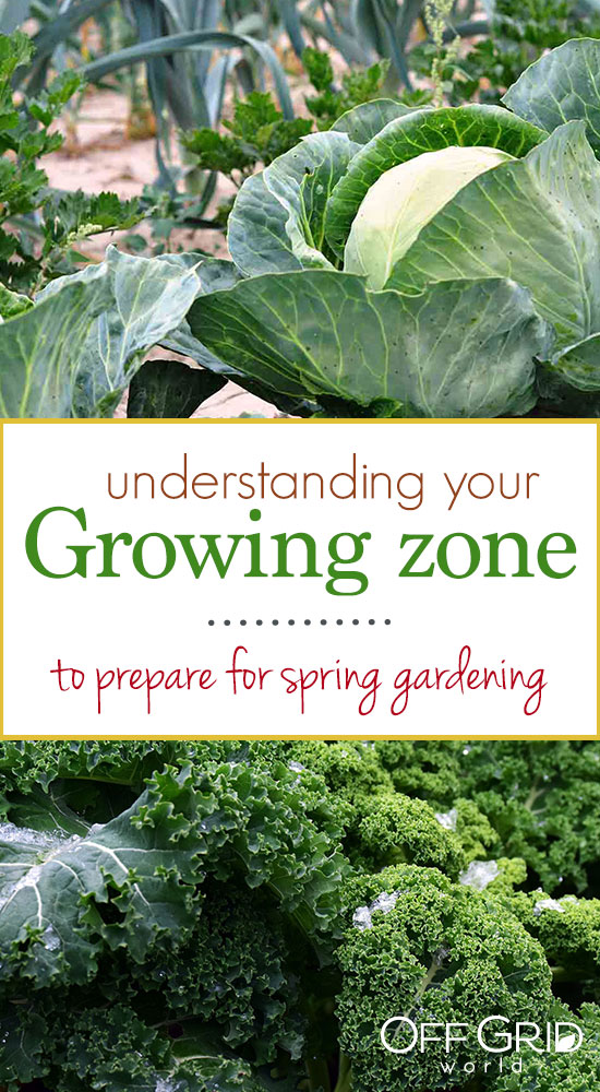 Understanding Your Growing Zone To Prepare For Spring Gardening Off