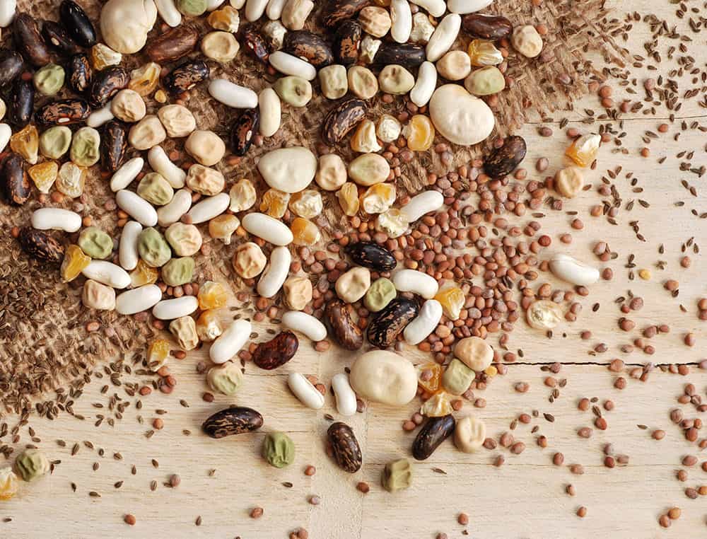 40+ Free Seed Catalogs Off Grid World