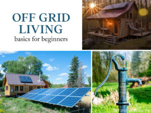Off-Grid Living for Beginners: Essential Tips to Get Started - Off Grid