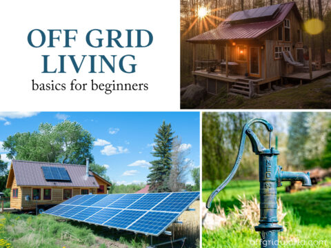 Off-Grid Living for Beginners: Essential Tips to Get Started - Off Grid