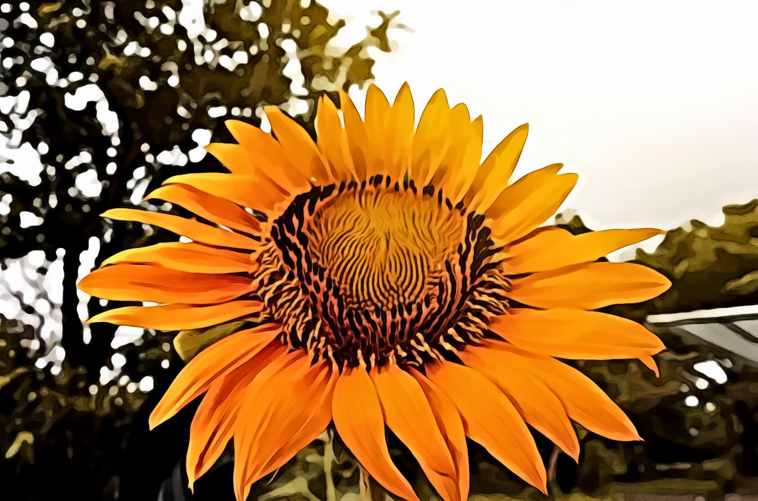 Yellow Sunflower Offhander