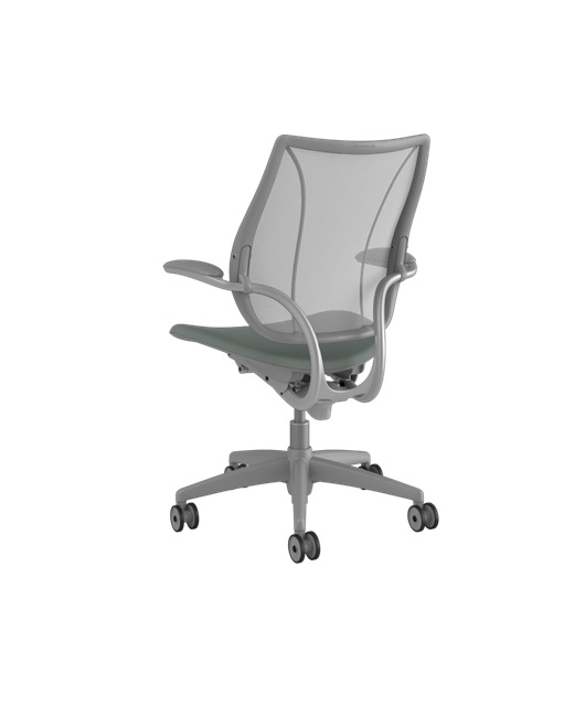 Humanscale Liberty Chair, Platinum, Adjustable Arms Office Chair Work