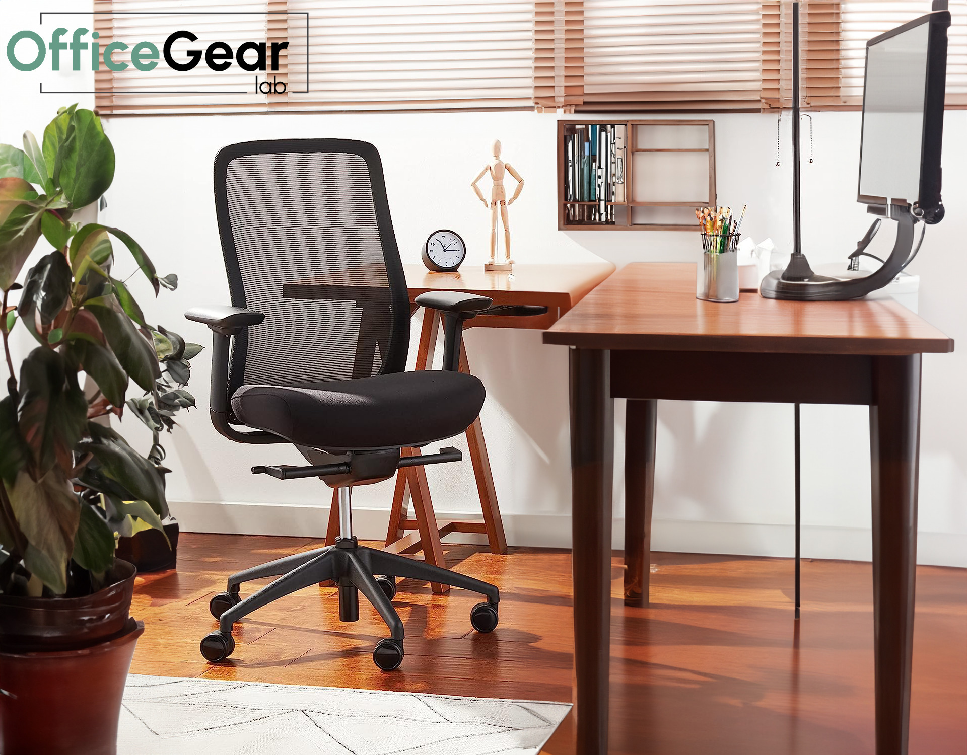 Eurotech Vera Mesh Back Ergonomic Chair Review 2023 OfficeGearLab