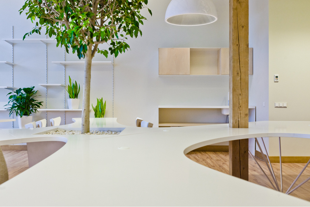 Office Greenhouse by OpenAD Office Snapshots