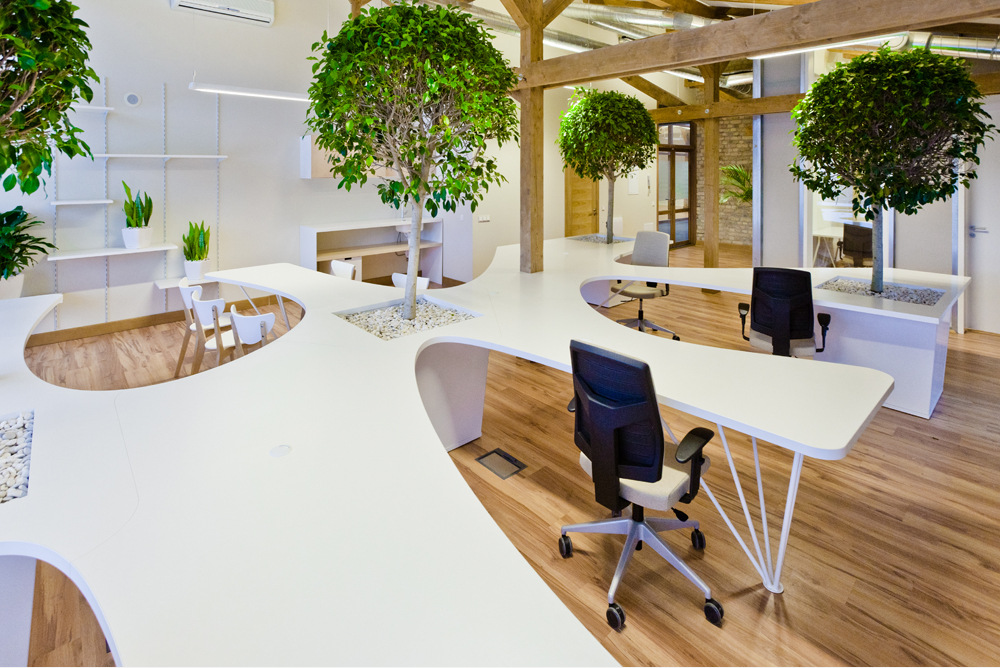 Office Greenhouse by OpenAD Office Snapshots
