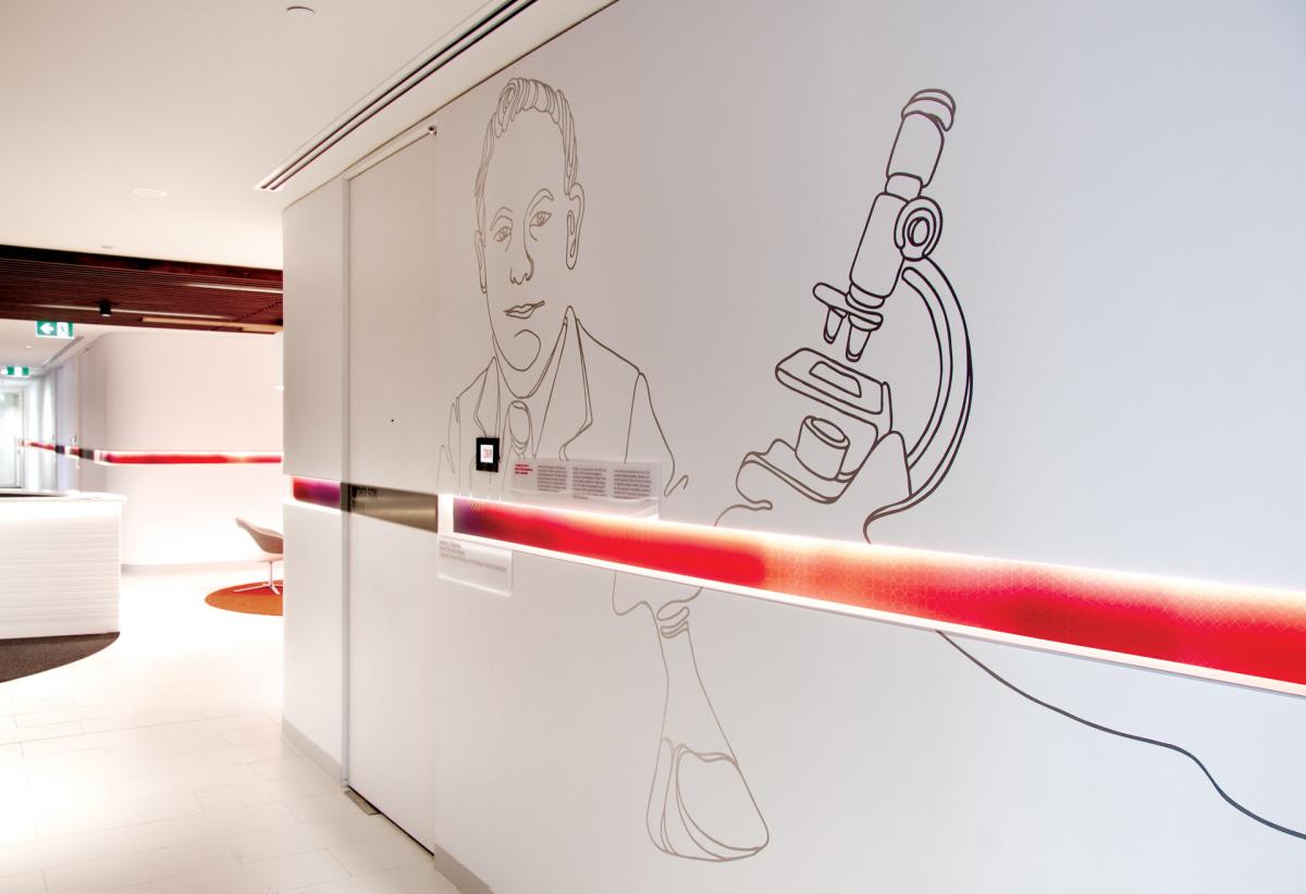 3M Australia's Creatively Branded Headquarters Office Snapshots