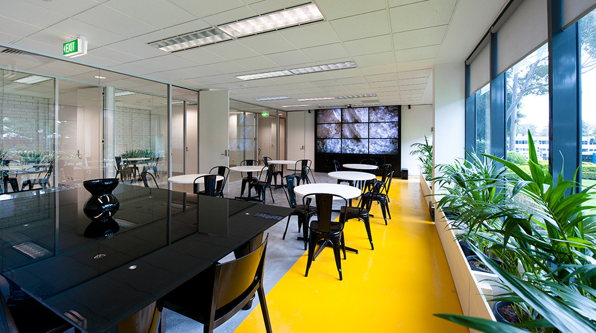 Big Fish Consulting Group's Sydney Offices Office Snapshots