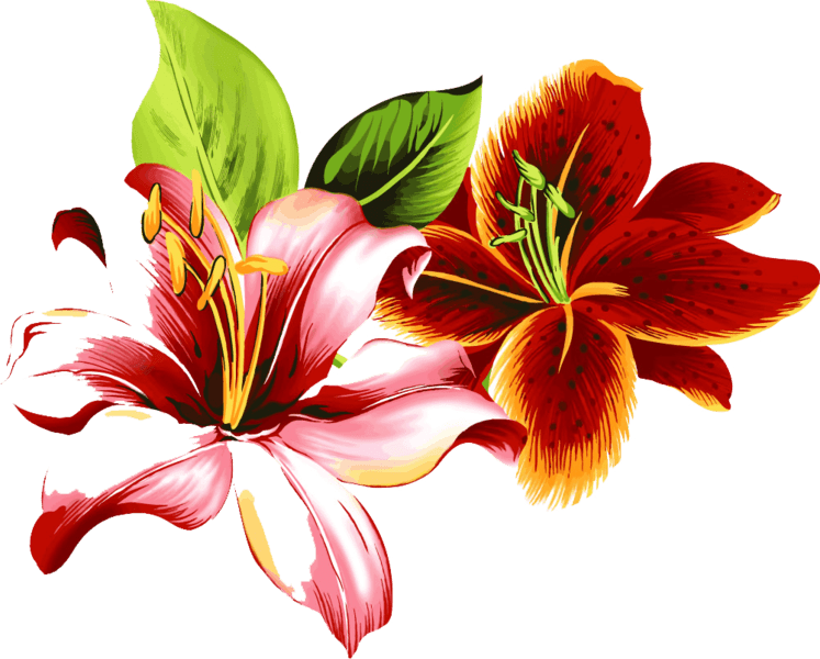 Flowers (PSD) Official PSDs