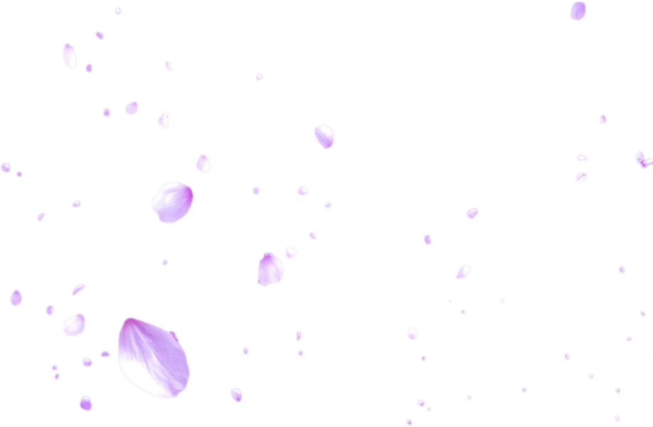 Falling Cherry Blossoms (PSD) Official PSDs