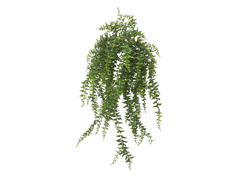 Vine (PNG) Official PSDs