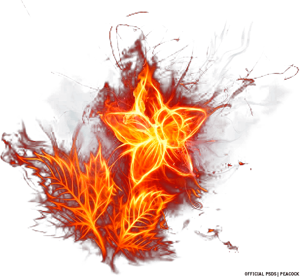Fire Flower (PSD) Official PSDs