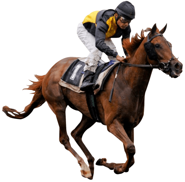 Jockey (PNG) Official PSDs