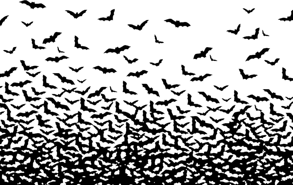 Lots Of Bats (PSD) Official PSDs