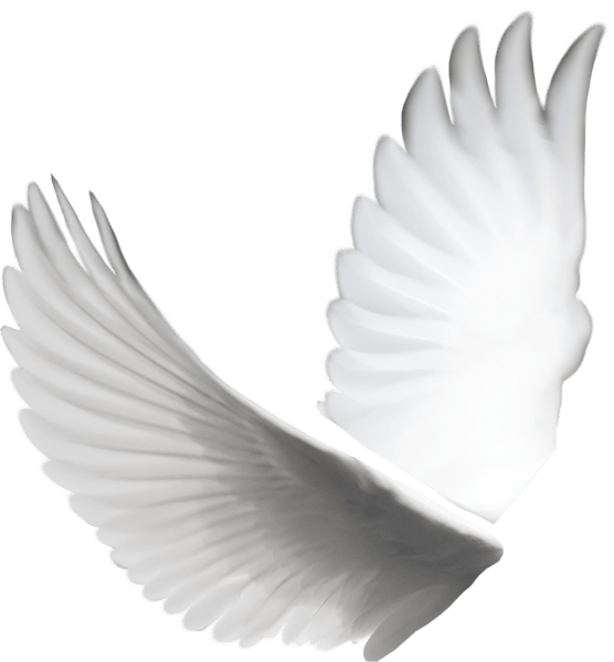 Doves Wings (PSD) Official PSDs