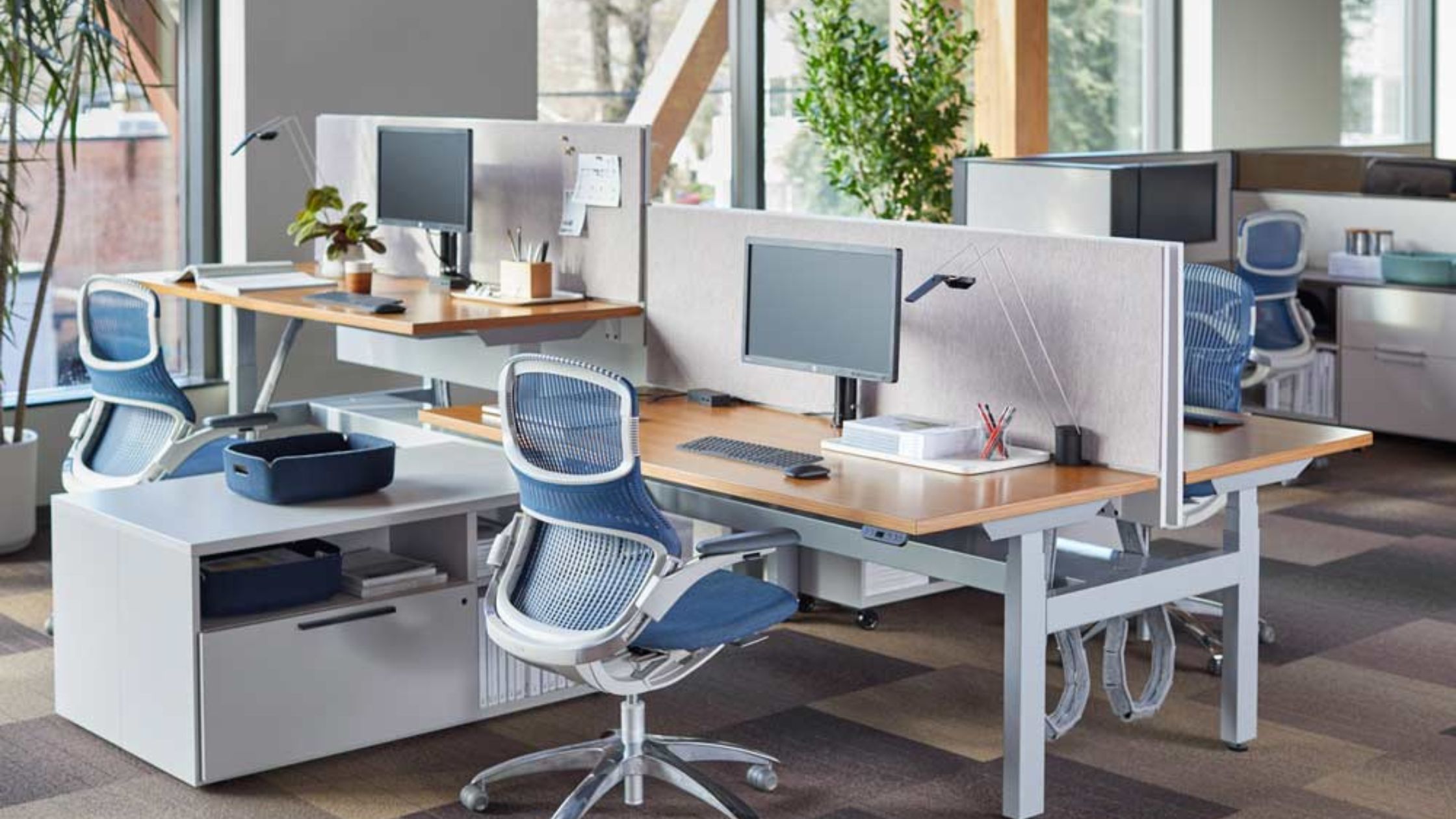 Plants in the Office Pros & Cons OffiSavvy Work Life Furniture San