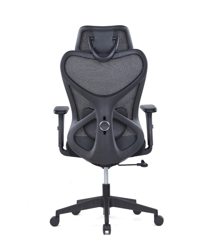 High End Ergonomic Chair With Adjustable Lumbar Support ARISHR