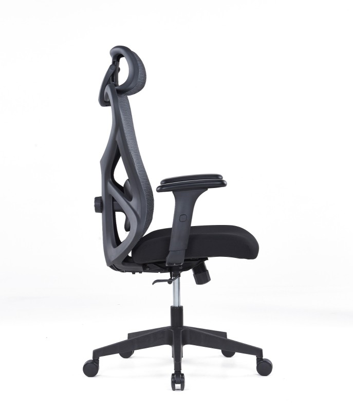 High End Ergonomic Chair With Adjustable Lumbar Support ARISHR