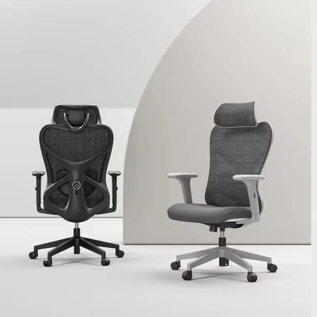 High End Ergonomic Chair With Adjustable Lumbar Support ARISHR