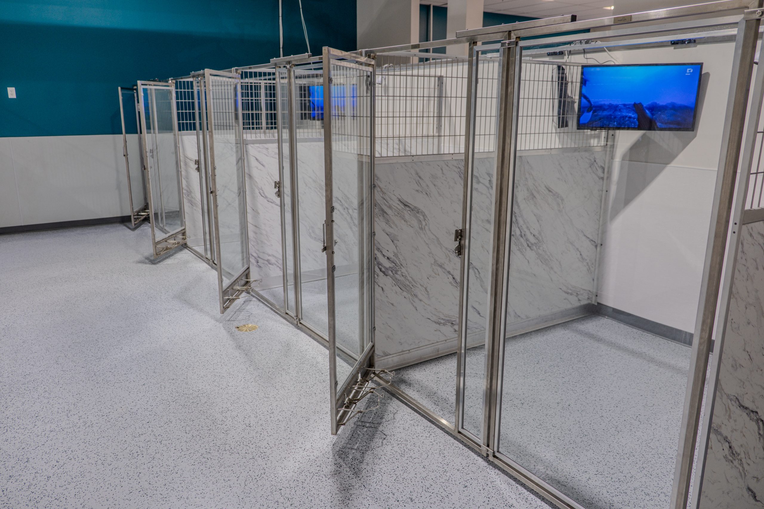 Dog Boarding OffLeash Hotel New Lenox, IL