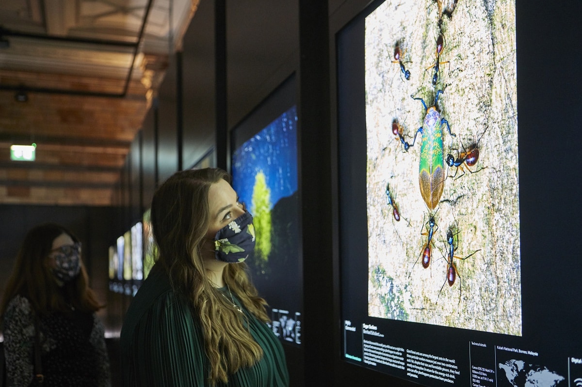 Natural History Museum Guide Exhibitions And Visitor Info For 2021
