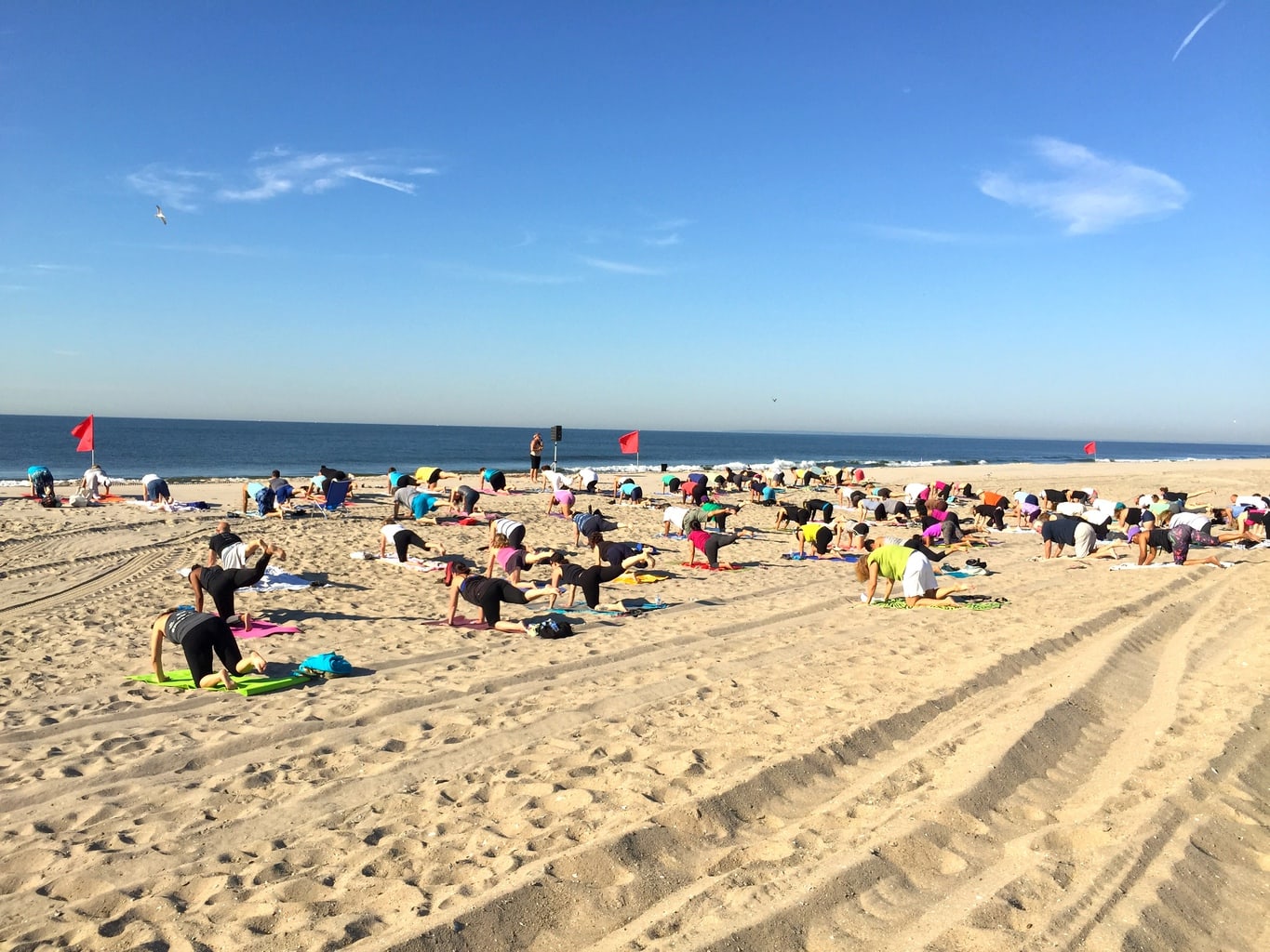 The Best Outdoor Adventures in NYC offMetro NY