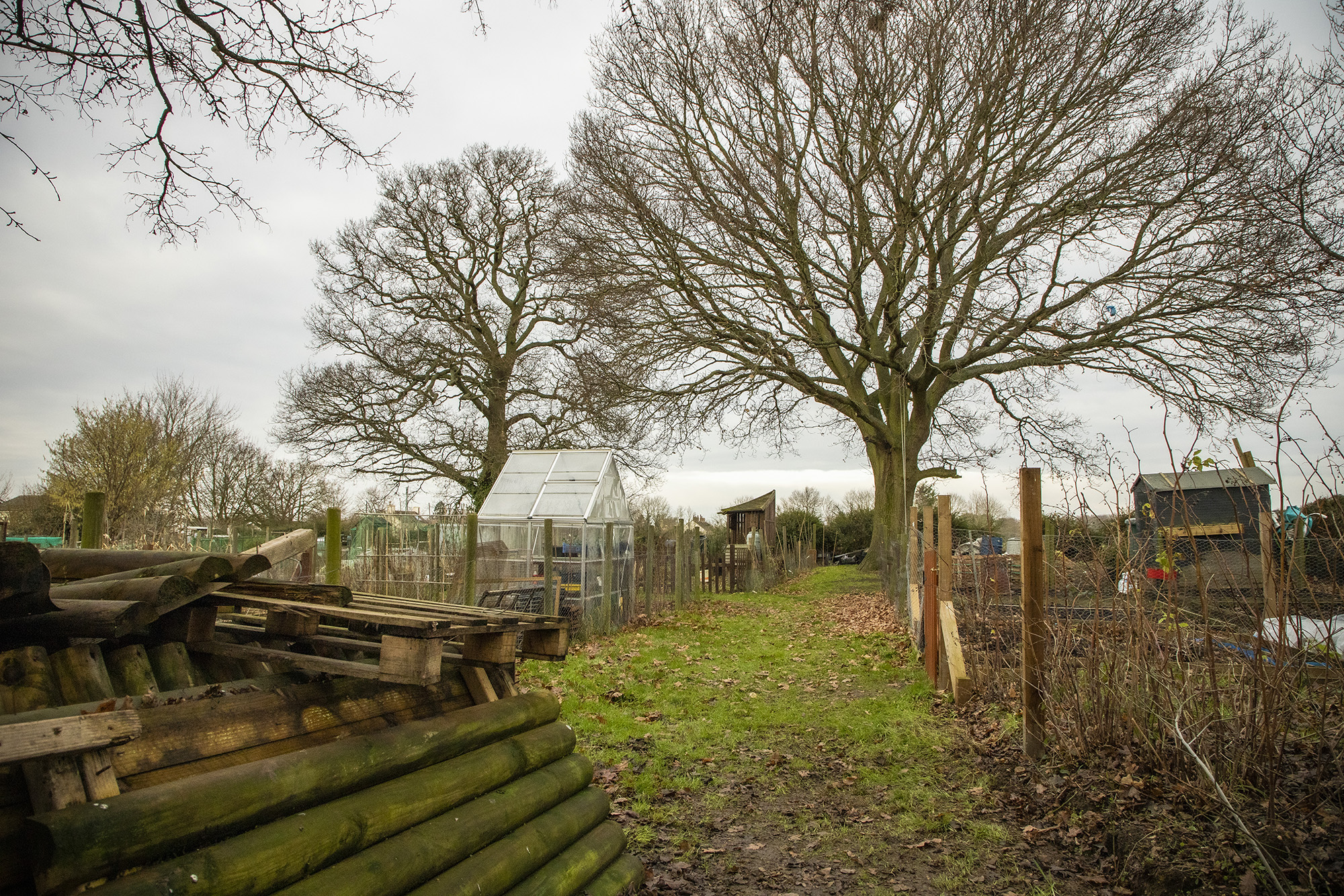 Graveley Road Allotments Offord Cluny & Offord Darcy Parish Council